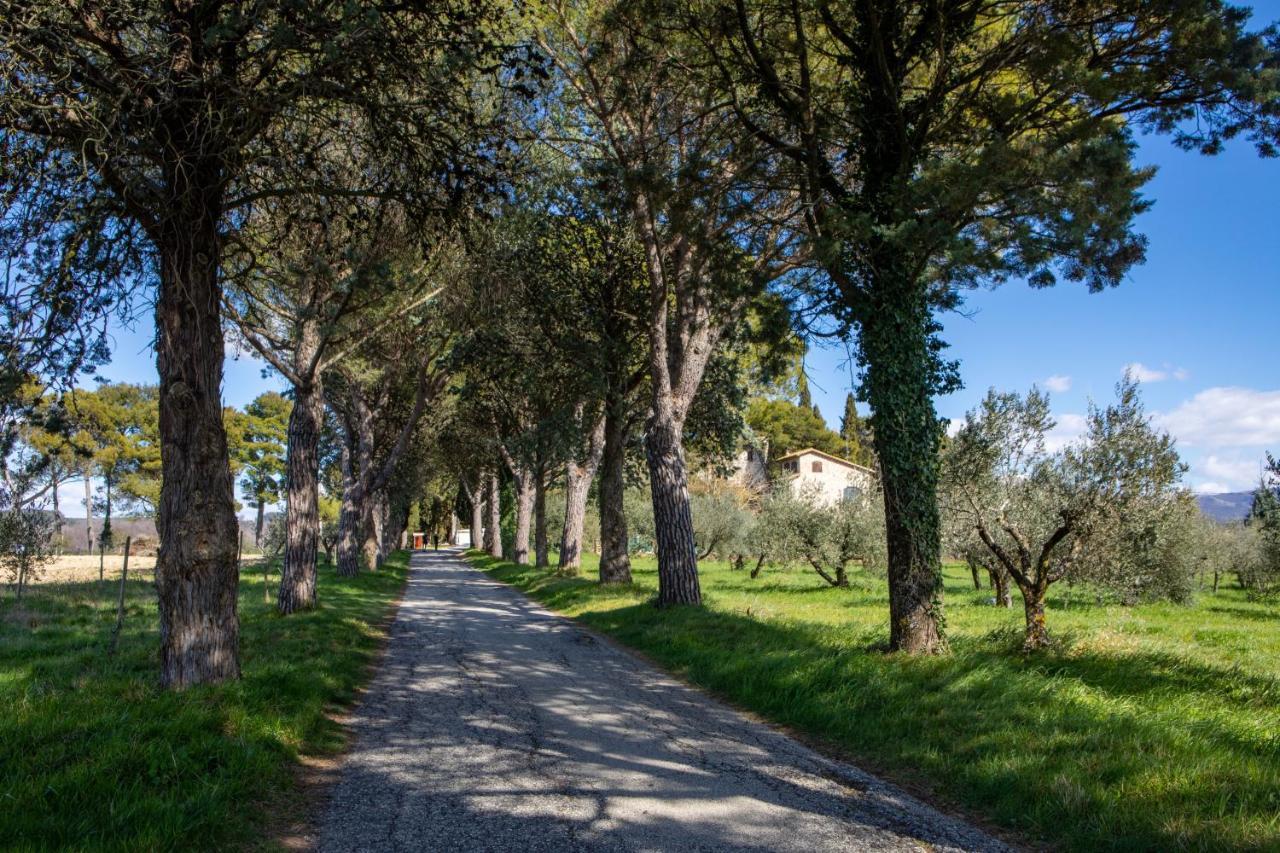 Borgo Petroro Hotel Todi Eksteriør billede